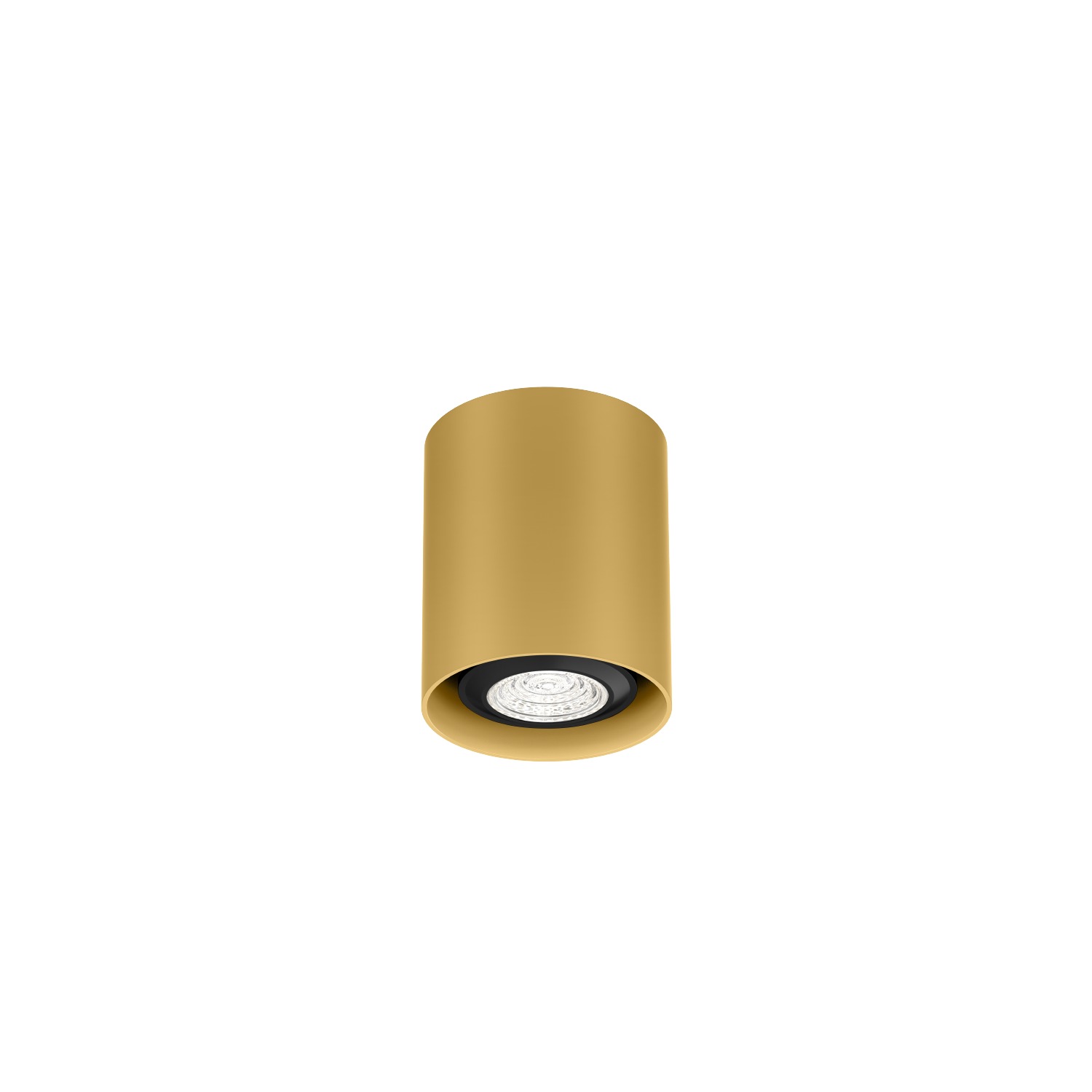 Потолочный светильник RAY mini 1.0 PAR16 Wever & Ducre